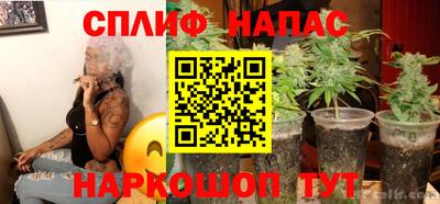 спиды Аргун