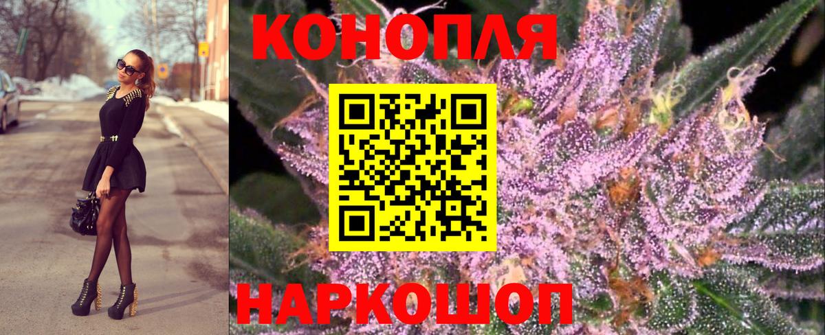 Каннабис Ачхой-Мартан